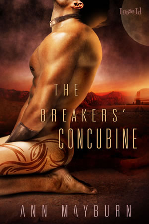 The Breaker's Concubine by Ann Mayburn Erotic Sci-Fi Romance